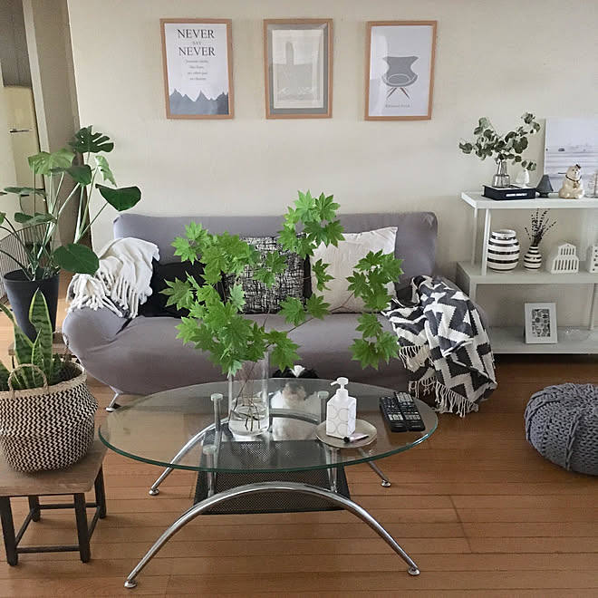 枝物 夏 サンスベリア モンステラ 観葉植物 などのインテリア実例 19 08 02 22 13 38 Roomclip ルームクリップ 枝物 夏 サンスベリア モンステラ 観葉植物 などのインテリア実例 19 08 02 22 13 38 Roomclip ルームクリップ