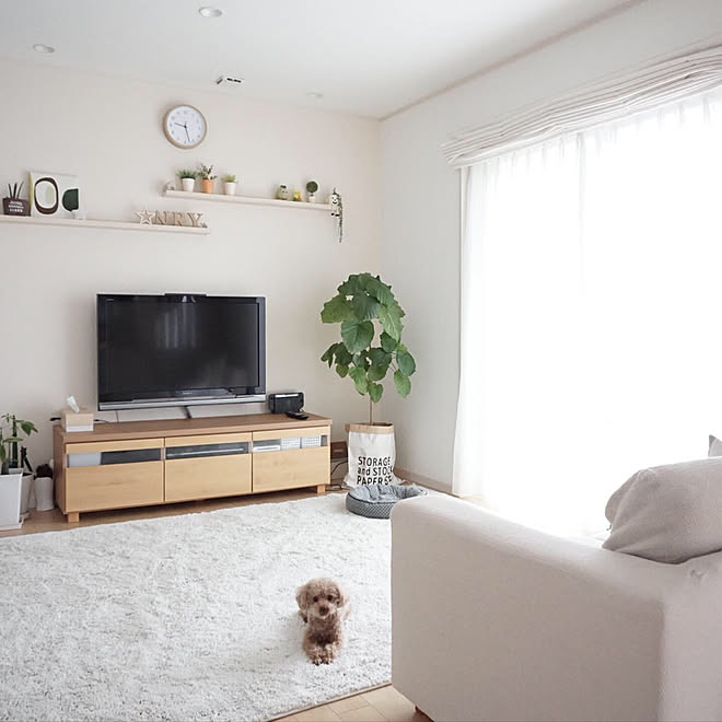 リビング ラグ シャギーラグ 北欧インテリア 北欧ナチュラル などのインテリア実例 19 07 11 08 24 30 Roomclip ルームクリップ リビング ラグ シャギーラグ 北欧インテリア 北欧ナチュラル などのインテリア実例 19 07 11 08 24 30 Roomclip ルームクリップ
