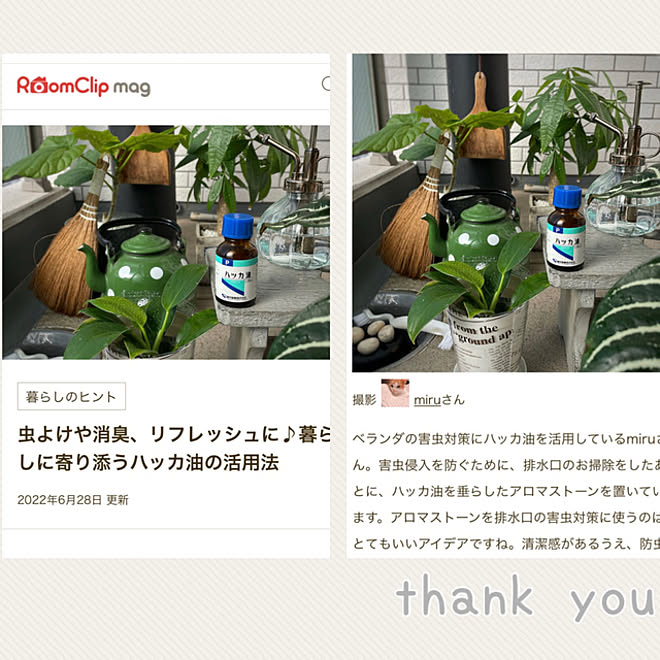 アロマストーン無印良品 ベランダ掃除 ハッカ油虫除けスプレー ハッカ油 Roomclip Mag 掲載 などのインテリア実例 22 06 28 21 16 31 Roomclip ルームクリップ