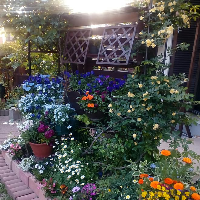 ガーデニング 花壇ｄｉｙ No Green No Life 春の庭 すのこdiy などのインテリア実例 17 04 30 18 03 08 Roomclip ルームクリップ