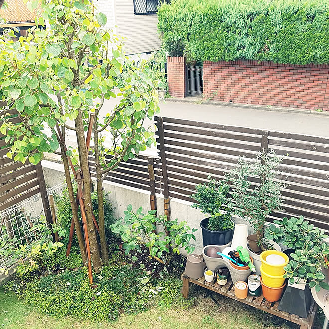 部屋全体 Diy 人工芝 芝生の庭 植栽 などのインテリア実例 21 08 29 11 07 19 Roomclip ルームクリップ 部屋全体 Diy 人工芝 芝生の庭 植栽 などのインテリア実例 21 08 29 11 07 19 Roomclip ルームクリップ