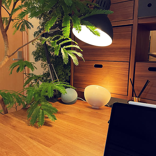 間接照明 無印良品 1rに書斎空間 Hue ライトリボンプラス 一人暮らし などのインテリア実例 21 04 13 15 34 15 Roomclip ルームクリップ 間接照明 無印良品 1rに書斎空間 Hue ライトリボンプラス 一人暮らし などのインテリア実例 21 04 13 15 34 15 Roomclip ルームクリップ