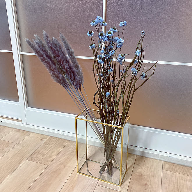 植物 ミモザ Ikea 無印良品 キャンドゥ などのインテリア実例 21 03 08 08 12 Roomclip ルームクリップ