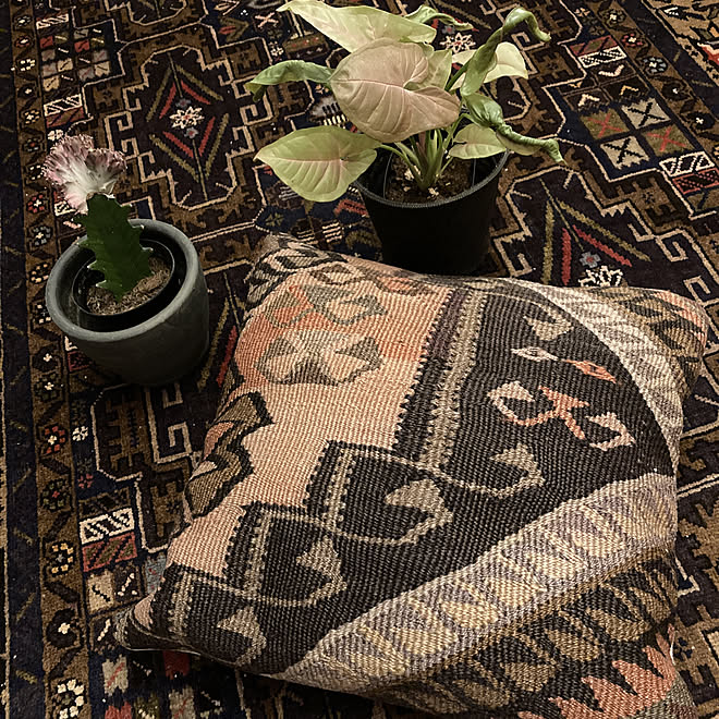 22 6 8 シンゴニウム ピンクバタフライ クッションカバー マハラジャ Daiso などのインテリア実例 22 06 08 53 56 Roomclip ルームクリップ