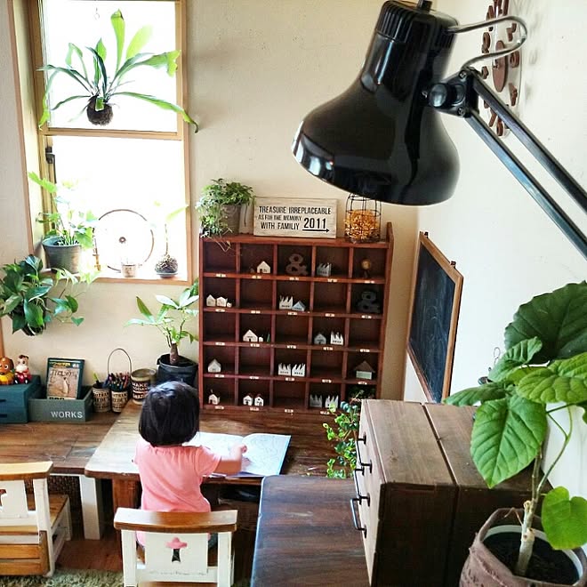棚 インスタ Slow Life Works コウモリラン Noroちゃん 観葉植物 などのインテリア実例 15 07 31 10 19 50 Roomclip ルームクリップ