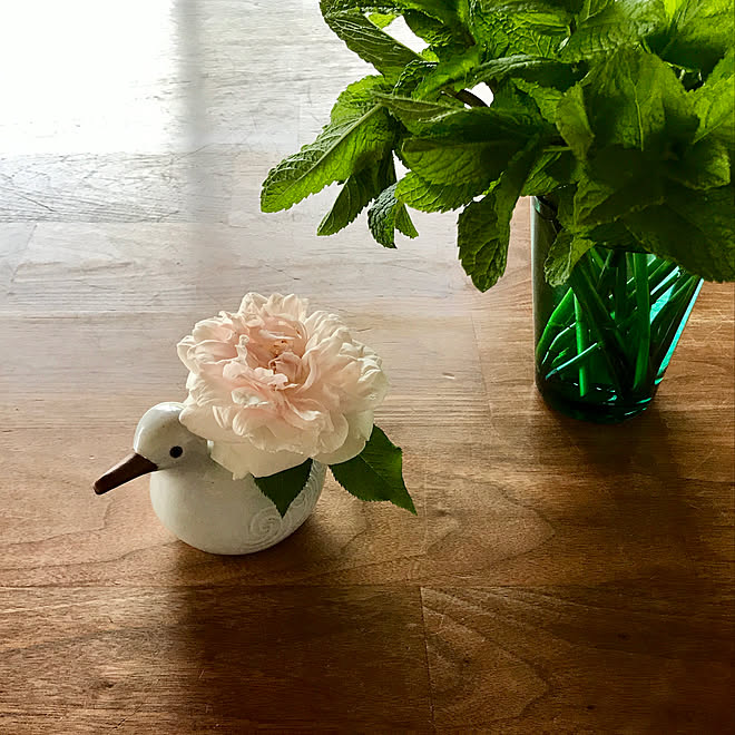 ガーデニング 花 イッタラ ハーブ スペアミント などのインテリア実例 19 05 12 10 47 42 Roomclip ルームクリップ