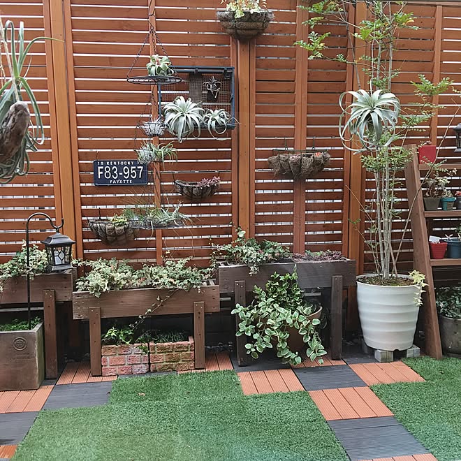 玄関 入り口 植物のある暮らし ルーバーラティス 庭diy エアプランツのインテリア実例 17 04 06 16 53 38 Roomclip ルームクリップ