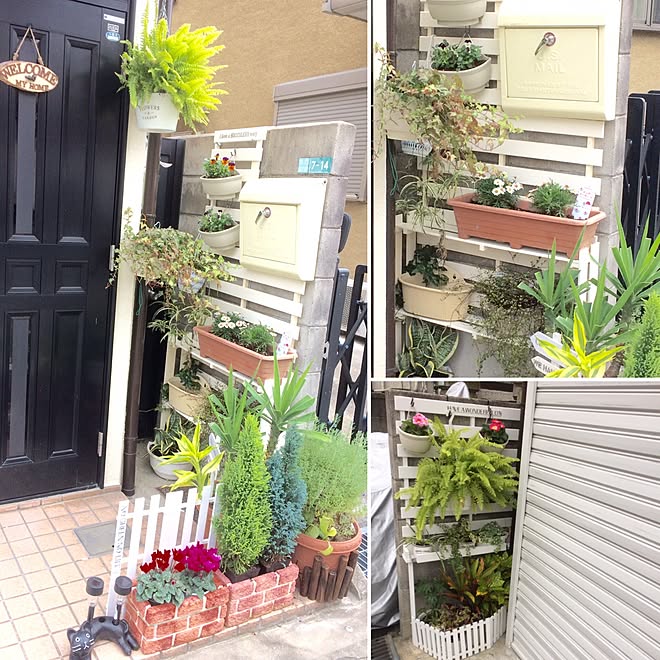 壁 天井 プランター レンガ風 玄関前 ガーデニング 玄関前スペース などのインテリア実例 16 11 23 16 10 52 Roomclip ルームクリップ