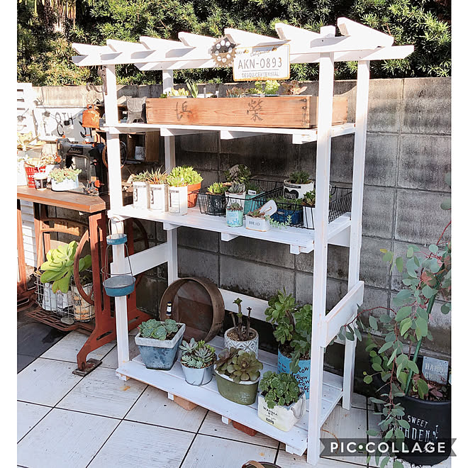 多肉植物/ガーデニング雑貨/お庭改造計画/パーゴラ風/多肉棚DIY&hellip;などのインテリア実例 20200927 173909