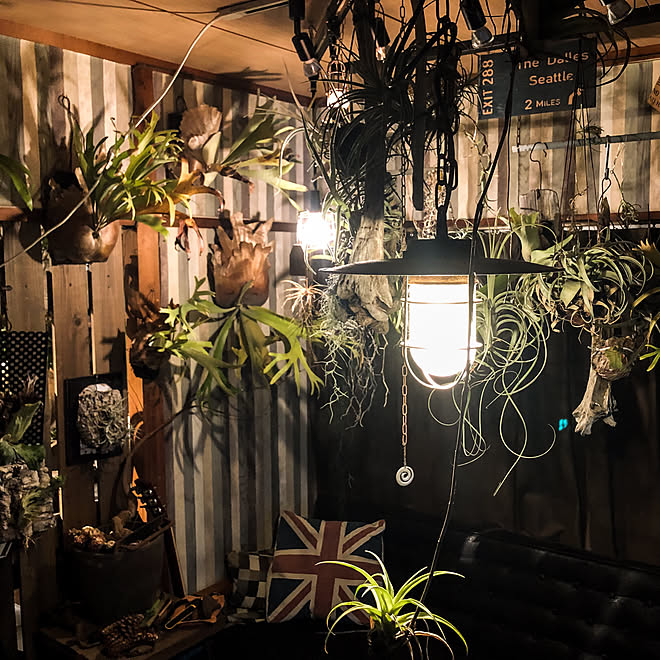 賃貸DIY/NO GREEN NO LIFE/【POP】/【zakdeZign】/ネットショップやってます♫...などのインテリア実例 - 2019-11-13 22:14:53