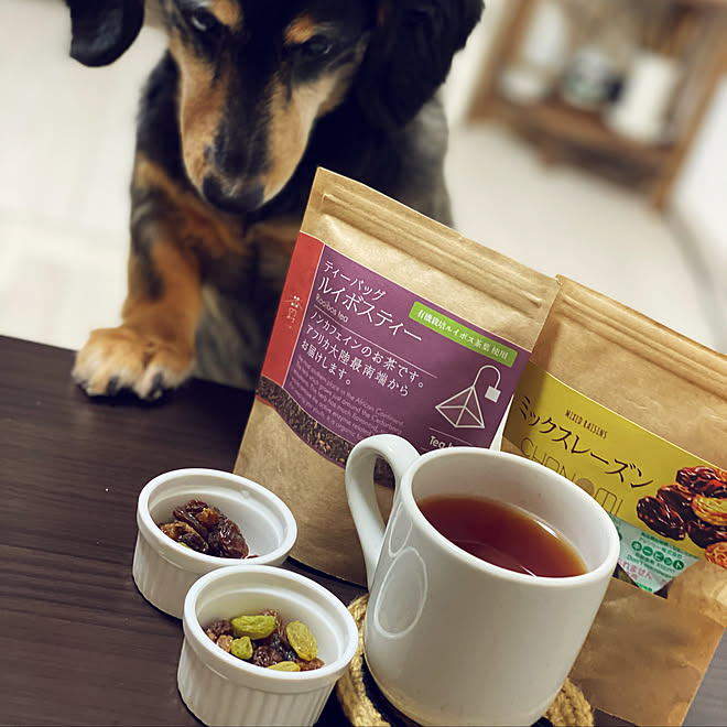 麿が ルイボスティー ミックスレーズン お茶ある暮らし こどもと暮らす シニア犬と暮らす などのインテリア実例 12 13 16 45 02 Roomclip ルームクリップ 麿が ルイボスティー ミックスレーズン お茶ある暮らし こどもと暮らす シニア犬と暮らす などのインテリア実例 12 13 16 45 02 Roomclip ルームクリップ