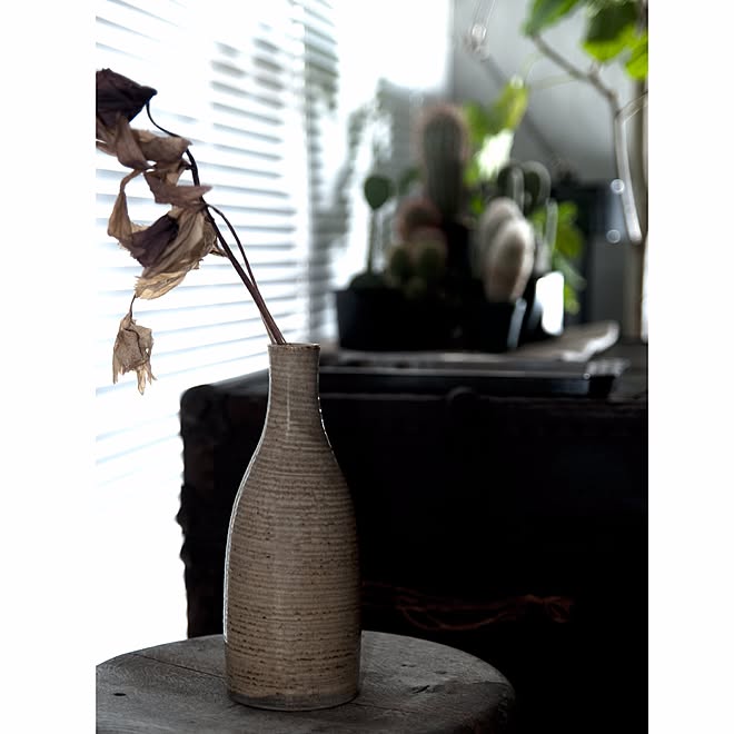 サボテン リノベーション コンクリート 花瓶 江戸幕末 などのインテリア実例 15 04 26 11 41 47 Roomclip ルームクリップ