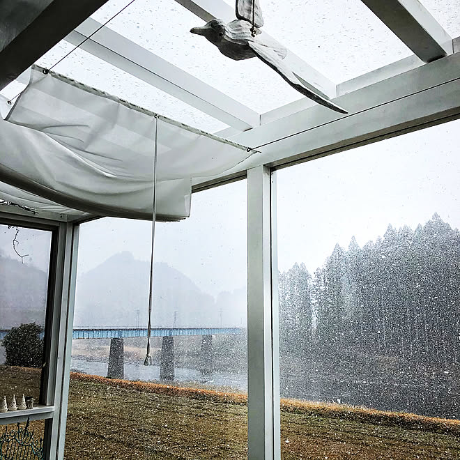 サンルームのある家 雪景色 田舎暮らし 壁 天井 日除けシェード などのインテリア実例 02 10 37 37 Roomclip ルームクリップ