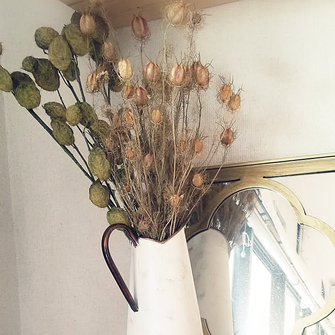 棚 風船唐綿ドライ ニゲラのドライ Salyu 庭の花のドライフラワーのインテリア実例 21 02 02 11 50 21 Roomclip ルームクリップ