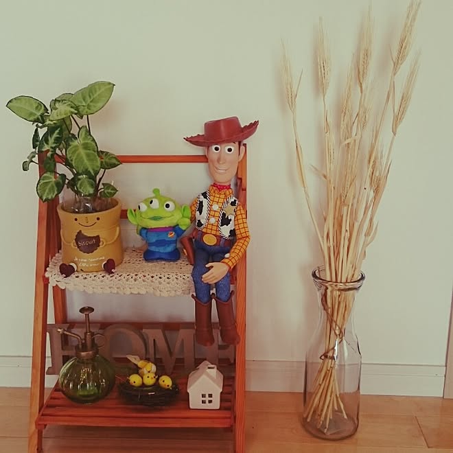 玄関/入り口/カメラマークを消すために/観葉植物/トイストーリー/セリア...などのインテリア実例 - 2016-07-18 08:17:12
