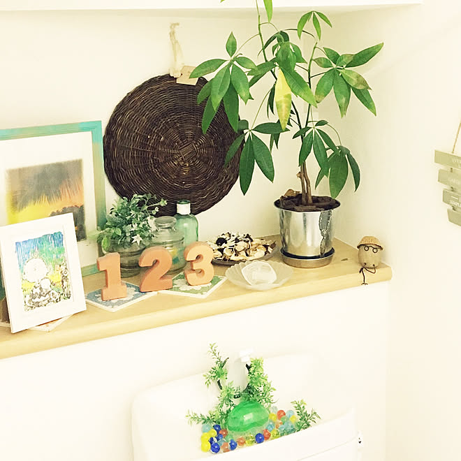 バス トイレ 観葉植物 100均 ナチュラルのインテリア実例 18 05 08 17 08 05 Roomclip ルームクリップ バス トイレ 観葉植物 100均 ナチュラルのインテリア実例 18 05 08 17 08 05 Roomclip ルームクリップ