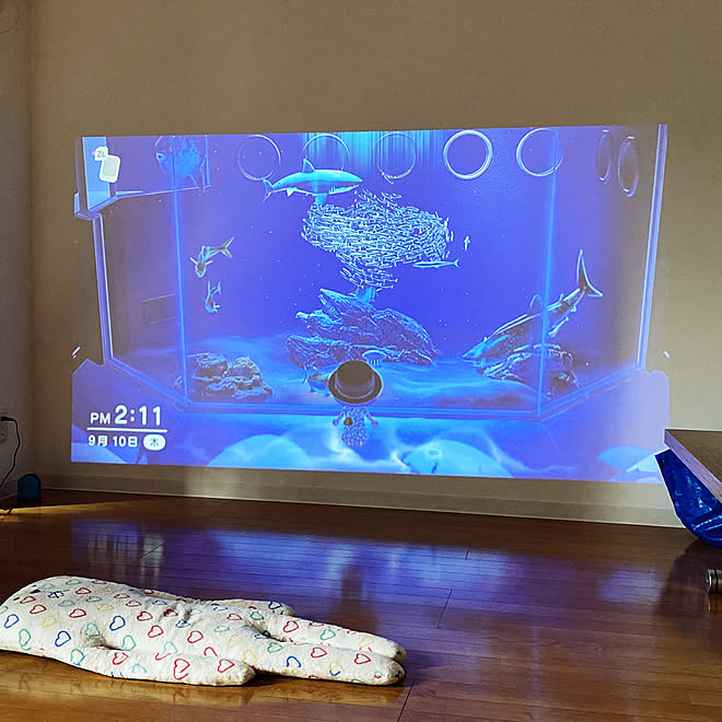 あつ森 Switch Nintendo リビング プロジェクターのある暮らし ホームシアター などのインテリア実例 09 10 14 14 00 Roomclip ルームクリップ