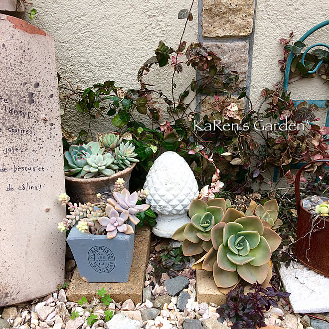 花壇 多肉 花壇 Diy 多肉植物のある暮らし 多肉植物寄せ植え 花壇 手作り などのインテリア実例 19 01 28 10 16 06 Roomclip ルームクリップ