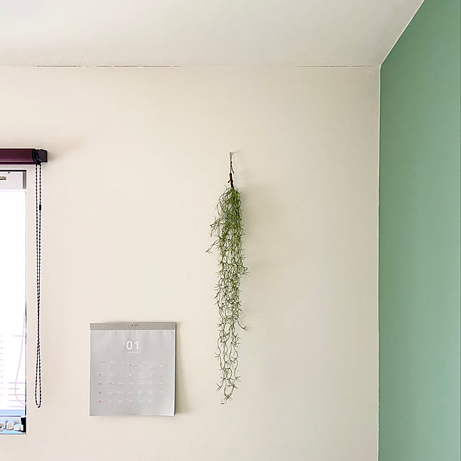 ベスト50 壁紙 屋 本舗 ショールーム 最高の花の画像