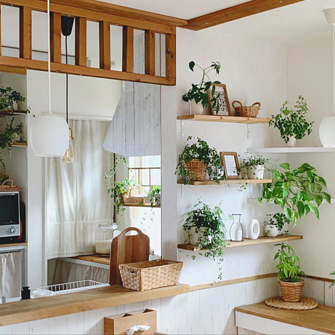 観葉植物のある暮らし グリーンのある暮らし ダイニングキッチン ダイニング インテリア などのインテリア実例 22 03 17 10 38 52 Roomclip ルームクリップ