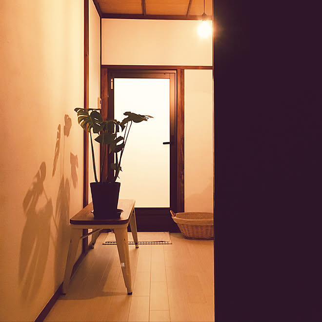 観葉植物のある暮らし/来春から住む予定/観葉植物/ベンチ/実家...などのインテリア実例 - 2019-09-21 22:16:38