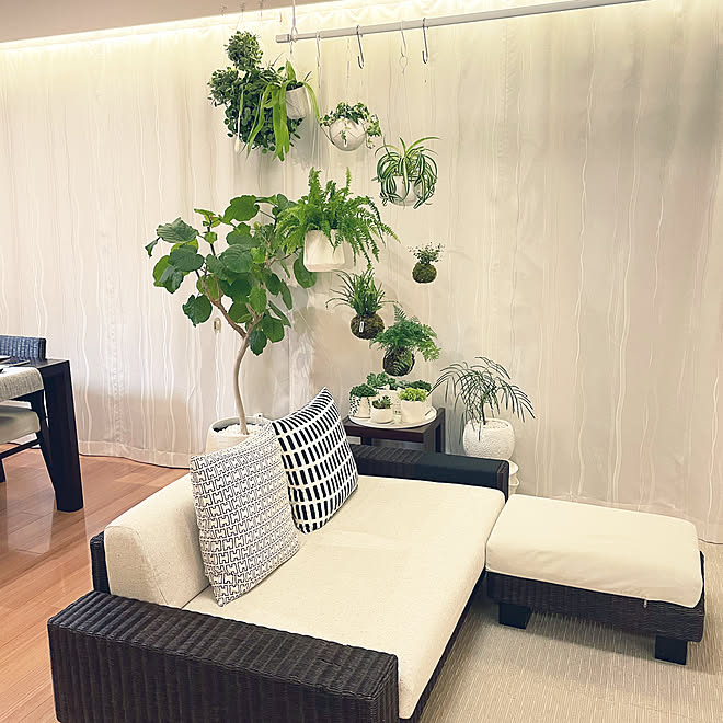 多肉植物寄せ植え エバーフレッシュ オリヅルランボニー アイビー寄せ植え ディスキディア などのインテリア実例 21 05 19 51 Roomclip ルームクリップ 多肉植物寄せ植え エバーフレッシュ オリヅルランボニー アイビー寄せ植え ディスキディア などのインテリア実例 21 05 19 51 Roomclip ルームクリップ