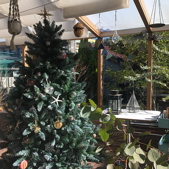 玄関/入り口/クリスマスツリー/博物/インテリアどころか外！/アウトドアインテリア&hellip;などのインテリア実例 20181224 13