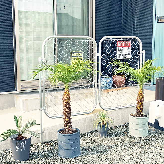 外構 観葉植物 玄関 入り口のインテリア実例 22 09 10 17 32 12 Roomclip ルームクリップ
