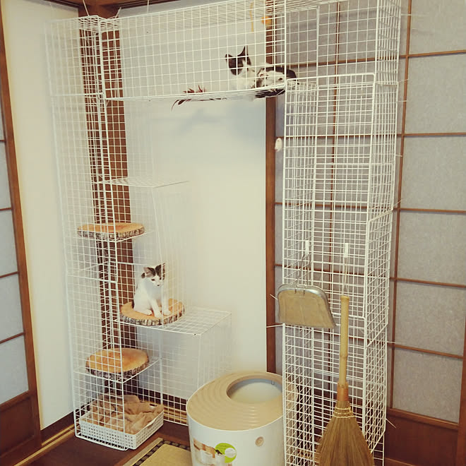 ベッド周り 猫スペース ワイヤーネット 猫のいる日常 いいね ありがとうございます などのインテリア実例 04 30 22 24 04 Roomclip ルームクリップ ベッド周り 猫スペース ワイヤーネット 猫のいる日常 いいね ありがとうございます などのインテリア実例 04 30 22 24 04 Roomclip ルームクリップ