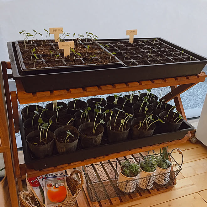 家の中でできる事 No Rc No Life 見て頂きありがとうございます Roomclipの出逢いに感謝 棚 などのインテリア実例 03 27 18 21 32 Roomclip ルームクリップ