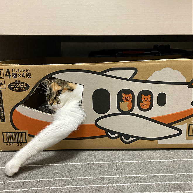 にゃんとも段ボール 段ボールハウス 猫ちゃん想い ニャンとも ねこと暮らす などのインテリア実例 11 22 16 35 01 Roomclip ルームクリップ