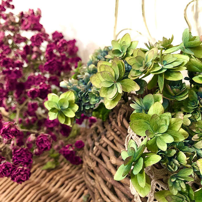 キングローズ つるバラのドライ 紫陽花ドライ いつもいいねやコメありがとうございます 紫陽花 卑弥呼 などのインテリア実例 07 08 00 42 30 Roomclip ルームクリップ キングローズ つるバラのドライ 紫陽花ドライ いつもいいねやコメありがとうございます 紫陽花 卑弥呼 などのインテリア実例 07 08 00 42 30 Roomclip ルームクリップ