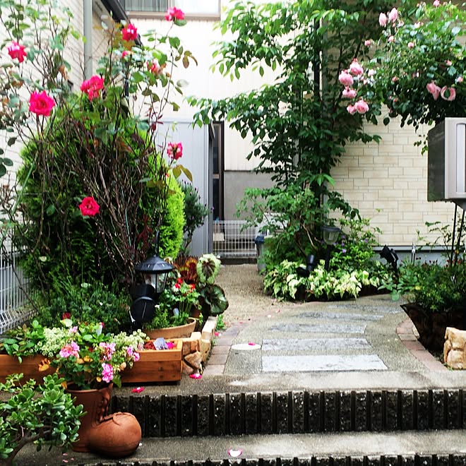 玄関 入り口 駐車場前 観葉植物 ガーデニング イタリア風 などのインテリア実例 16 09 04 21 04 37 Roomclip ルームクリップ