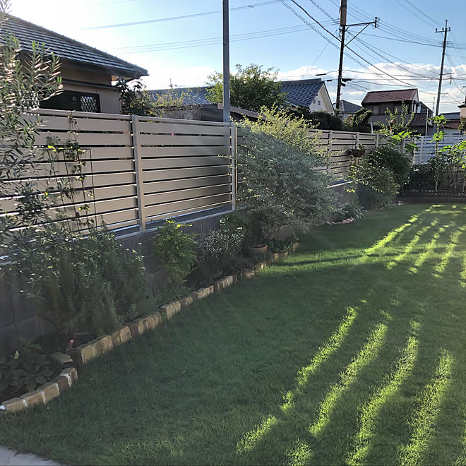 手作り花壇/植物が好き/植物のある暮らし/こどもと暮らす/ガーデニング...などのインテリア実例 - 2019-09-21 12:25:53