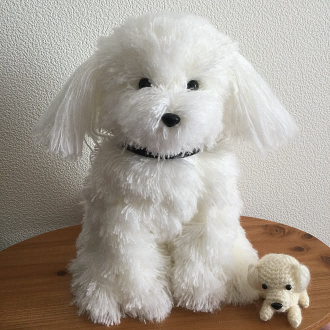 ペットロス 編み犬の毎日 抱っこしたくなるあみぐるみワンコ お空組 チワマル などのインテリア実例 21 03 18 11 36 40 Roomclip ルームクリップ