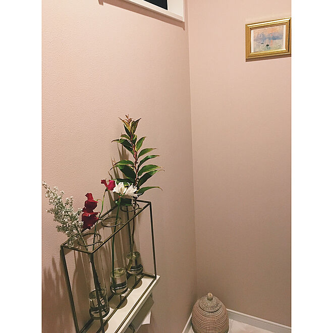 ピンクのトイレ ピンクの壁紙 花瓶 サンゲツ 壁紙 バス トイレのインテリア実例 19 11 16 09 50 41 Roomclip ルームクリップ