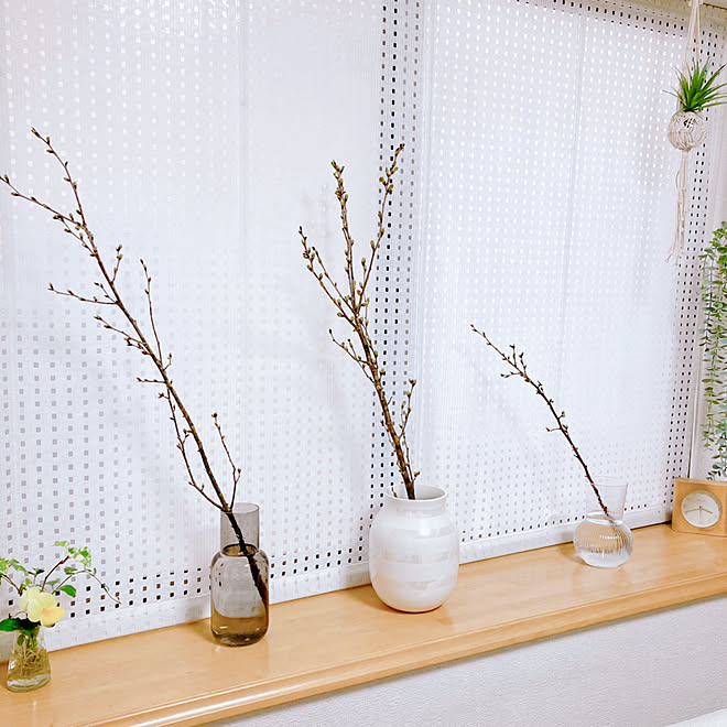 オマジオ Ikea 桜の枝 啓翁桜 壁 天井のインテリア実例 22 02 16 04 19 Roomclip ルームクリップ