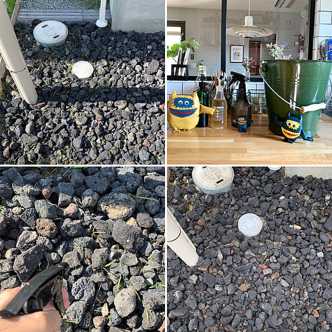 ナウガモンスター 庭の草 除草剤の代用 除草剤 酢 などのインテリア実例 19 07 14 08 03 15 Roomclip ルームクリップ ナウガモンスター 庭の草 除草剤の代用 除草剤 酢 などのインテリア実例 19 07 14 08 03 15 Roomclip ルームクリップ