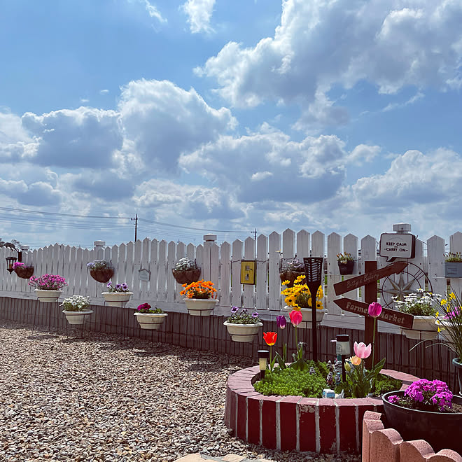 木の柵 ピンクパンサー ディモルフォセカ ノースポール ペチュニア などのインテリア実例 21 04 03 11 23 18 Roomclip ルームクリップ