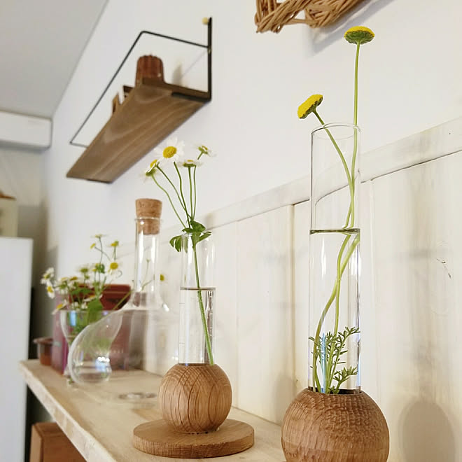 棚 一輪挿し マトリカリア 花ほたるのインテリア実例 18 04 28 14 17 24 Roomclip ルームクリップ