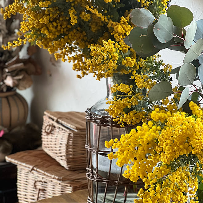 バスケット カゴ ユーカリ 花瓶 フラワーベース などのインテリア実例 22 03 06 14 52 Roomclip ルームクリップ