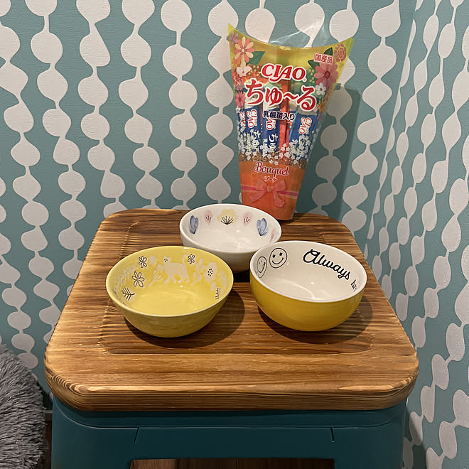 ちゃおチュール Seria 壁紙 猫部屋にて 保護猫と暮らす などのインテリア実例 21 03 12 04 53 Roomclip ルームクリップ