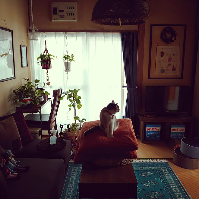 部屋全体 古い家に住む 古い家を楽しむ 手作りクリスマスリース サプライズプレゼント などのインテリア実例 2021 10 30 13 35 15 Roomclip ルームクリップ