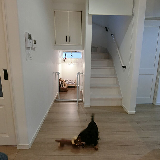 リビング 新築 階段下スペース 犬のいる暮らし ペットと暮らす家 などのインテリア実例 07 24 00 53 48 Roomclip ルームクリップ