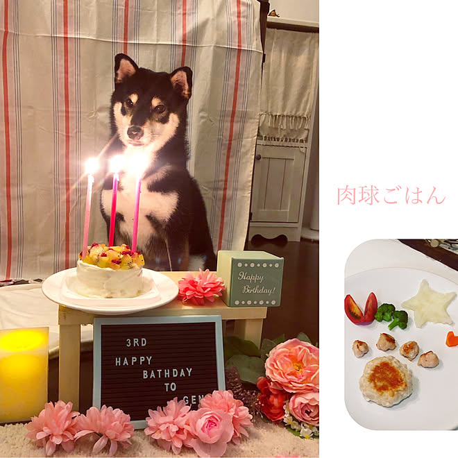 テーブルdiy 犬用手作りご飯 犬用ケーキ 誕生日飾り付け 柴犬がいる家 などのインテリア実例 19 10 29 11 59 45 Roomclip ルームクリップ