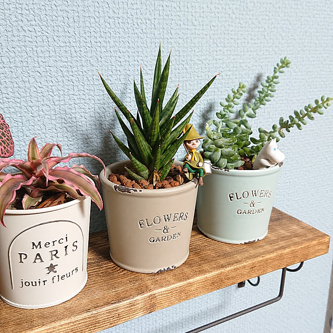 棚 オブジェ セリア カフェ風 観葉植物 などのインテリア実例 21 05 00 09 56 Roomclip ルームクリップ