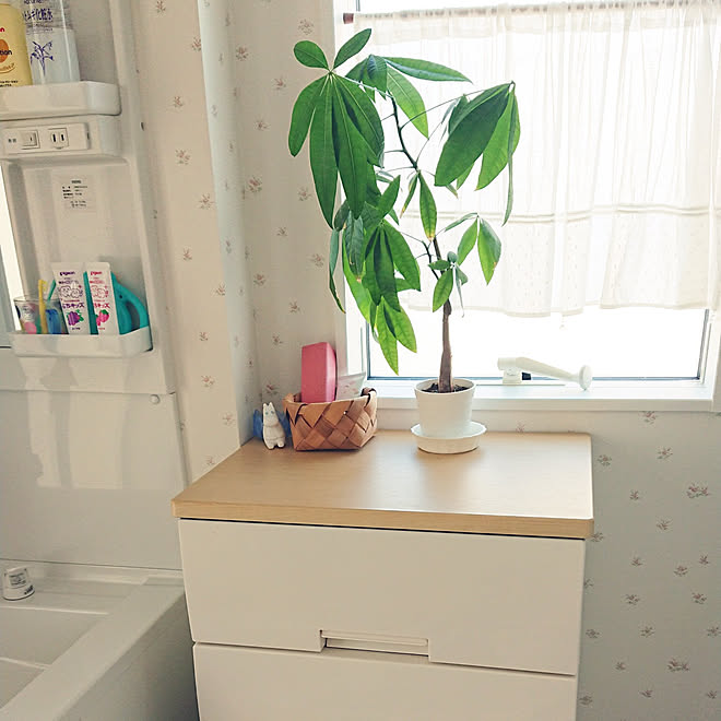 バス トイレ ナチュラル ピンク 花柄 癒し などのインテリア実例 22 02 22 17 30 22 Roomclip ルームクリップ