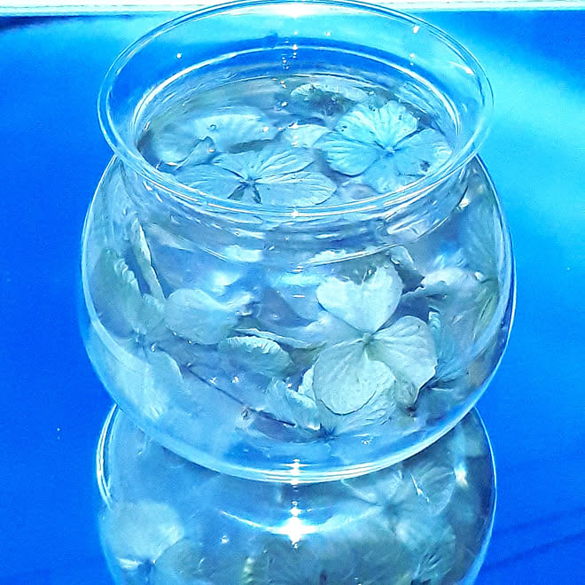 夏 紫陽花 ドライフラワー 金魚鉢リメイク レジン などのインテリア実例 21 08 12 11 32 57 Roomclip ルームクリップ