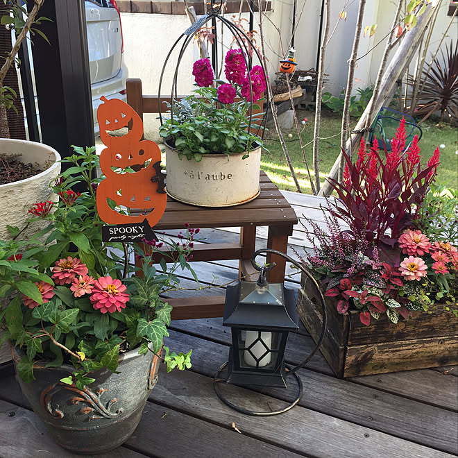 ガーデニング ハロウィン 寄せ植え大好き ウッドデッキ Ikeaの木箱 などのインテリア実例 18 10 17 17 35 Roomclip ルームクリップ
