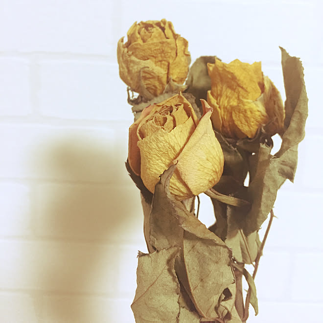 棚 レンガ壁紙 バラ ドライフラワー ナチュラル などのインテリア実例 18 12 08 00 51 39 Roomclip ルームクリップ